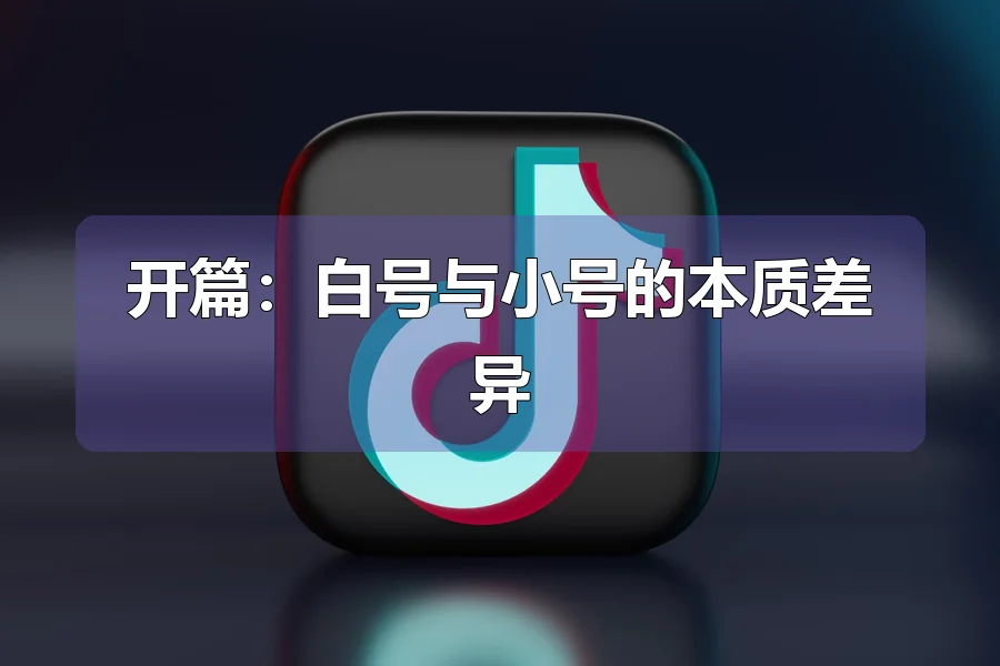 开篇：白号与小号的本质差异